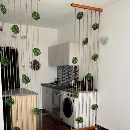 Garsoniera Saturn Apartment Mangalia Ngoại thất bức ảnh